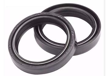 Retentor Viton